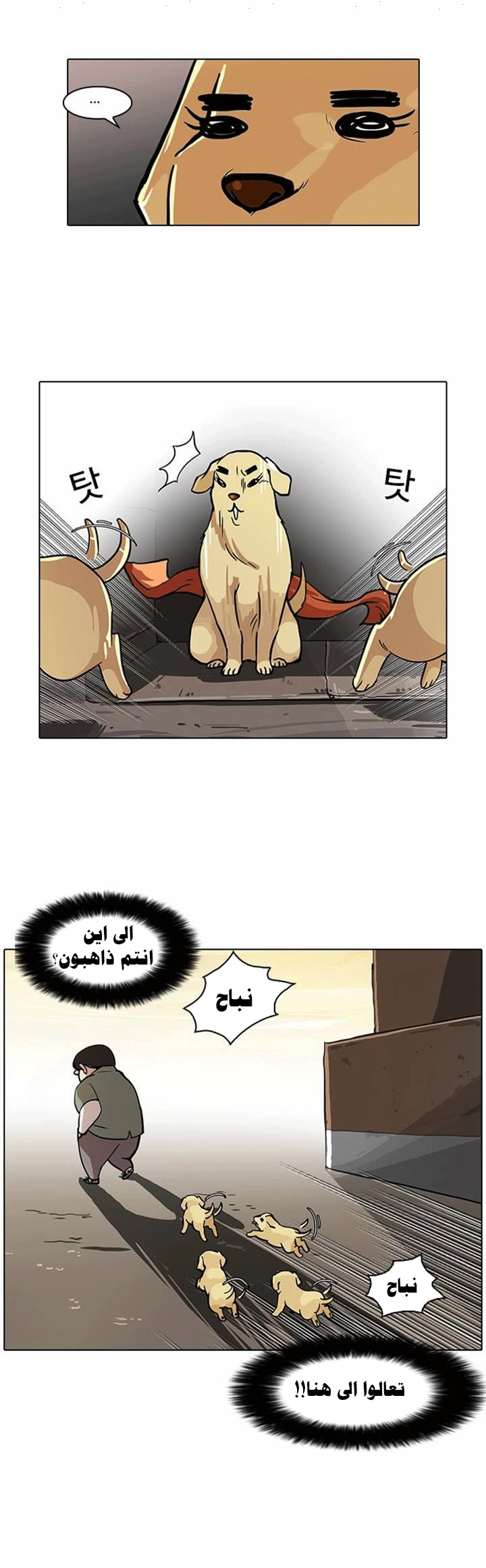 Read Lookism Ar Manga Online