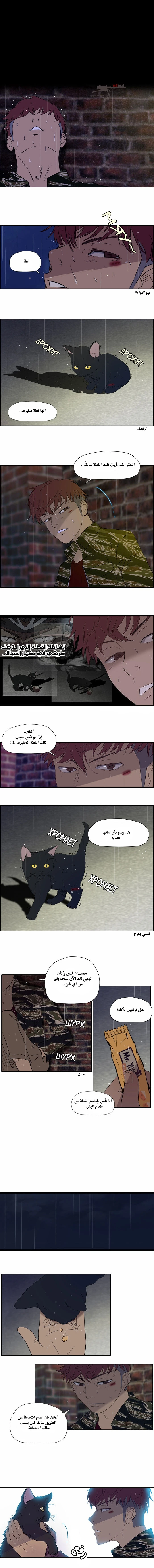 Read Wind Breaker Ar Manga Online