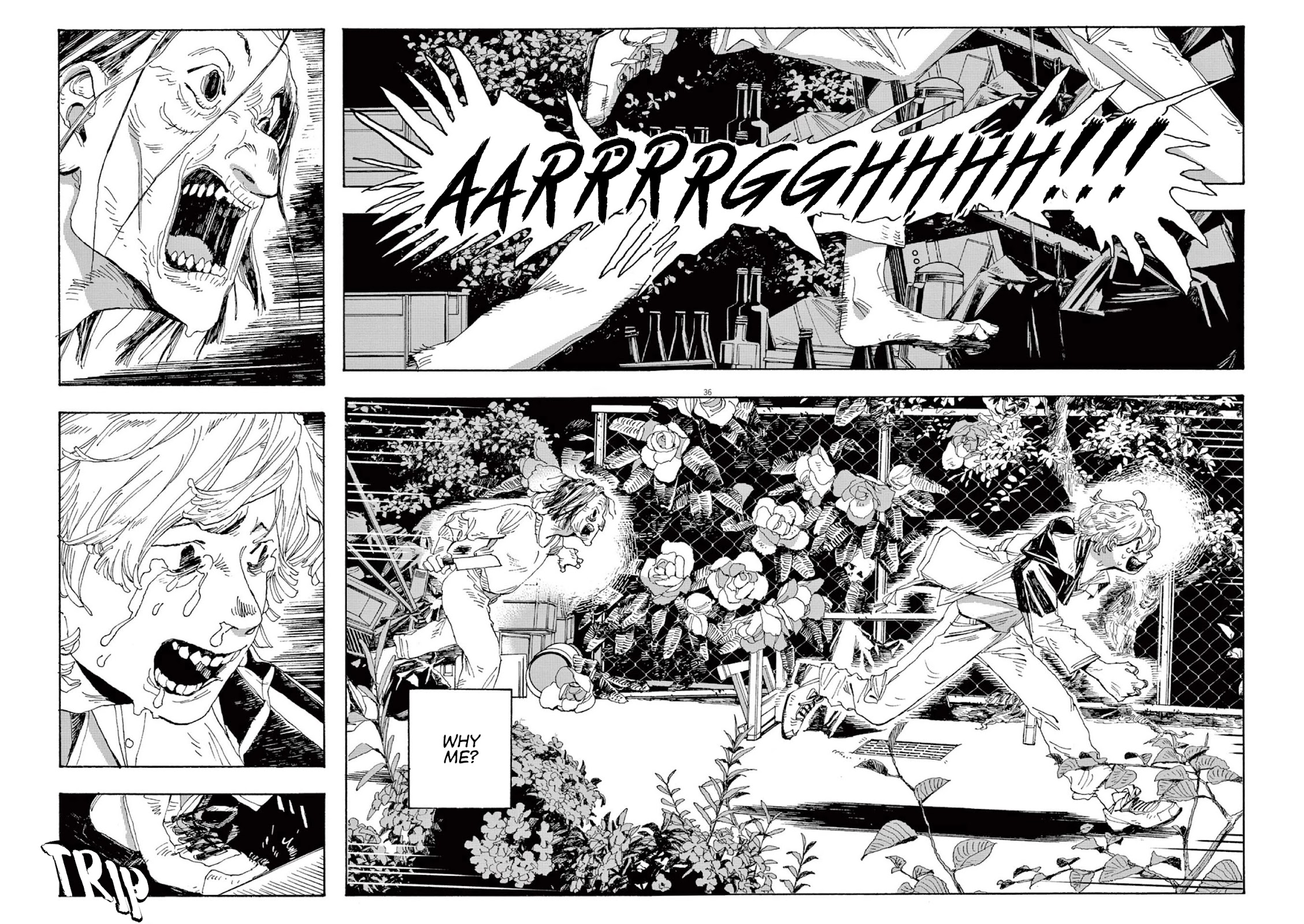 Read Fool Night Manga Online