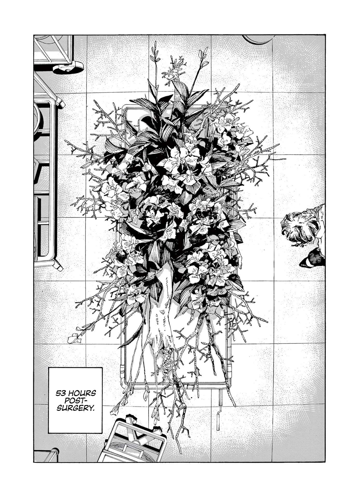 Read Fool Night Manga Online