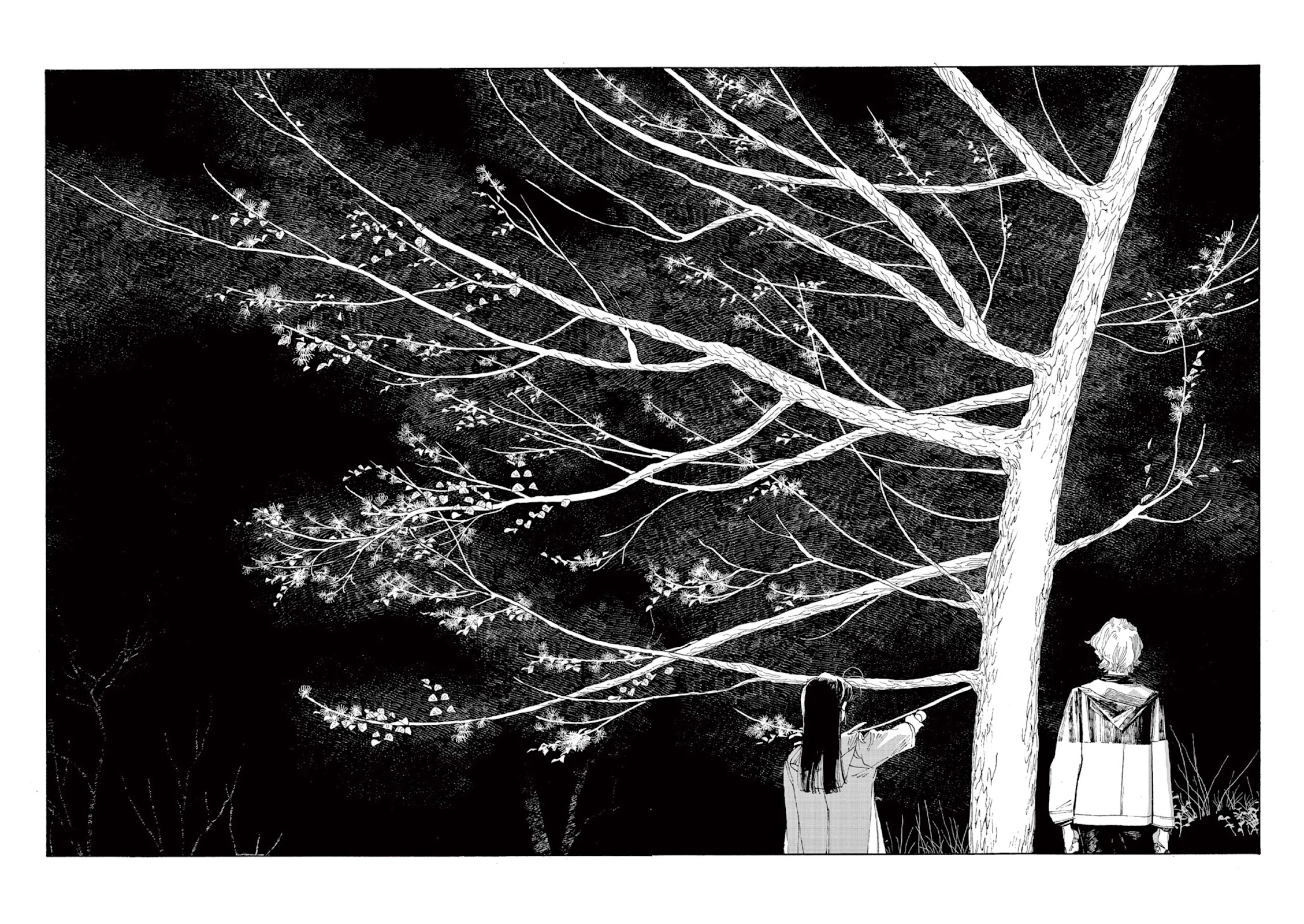 Read Fool Night Manga Online
