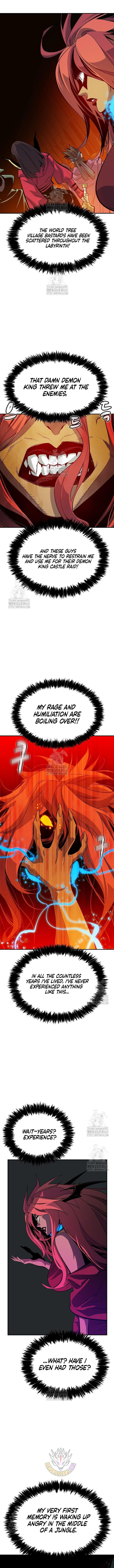 Read The Lone Necromancer Manga Online