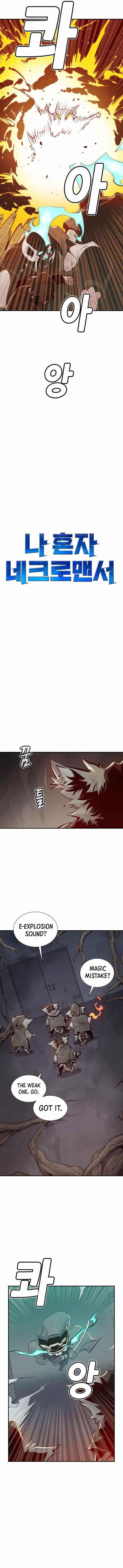 Read The Lone Necromancer Manga Online
