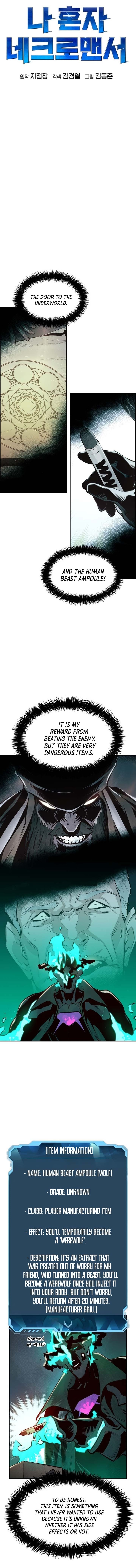 Read The Lone Necromancer Manga Online