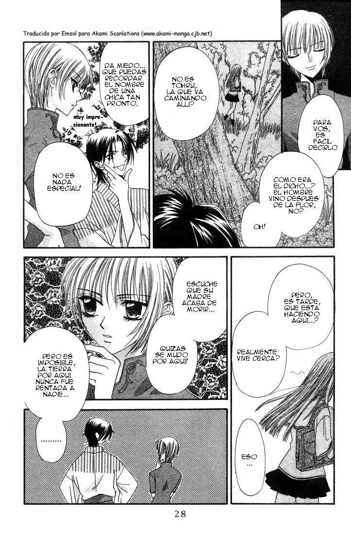 Read Fruits Basket Es Manga Online
