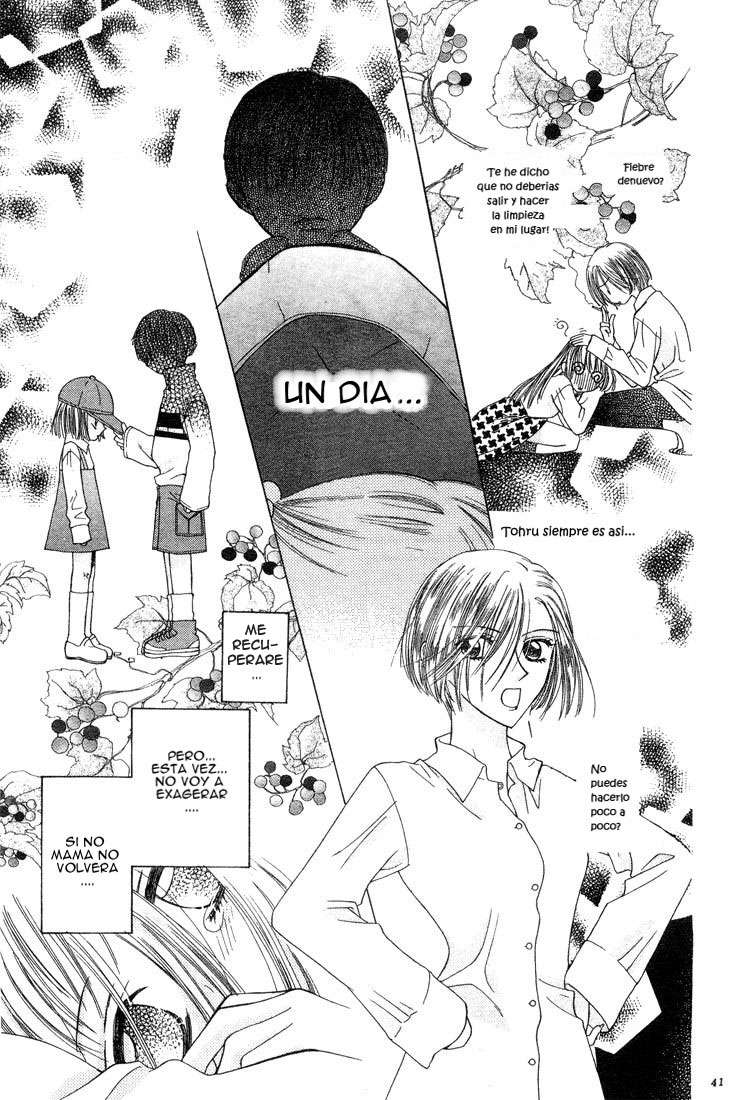 Read Fruits Basket Es Manga Online