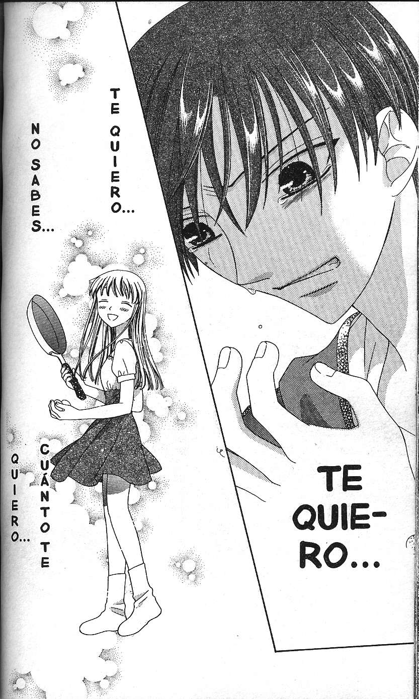 Read Fruits Basket Es Manga Online