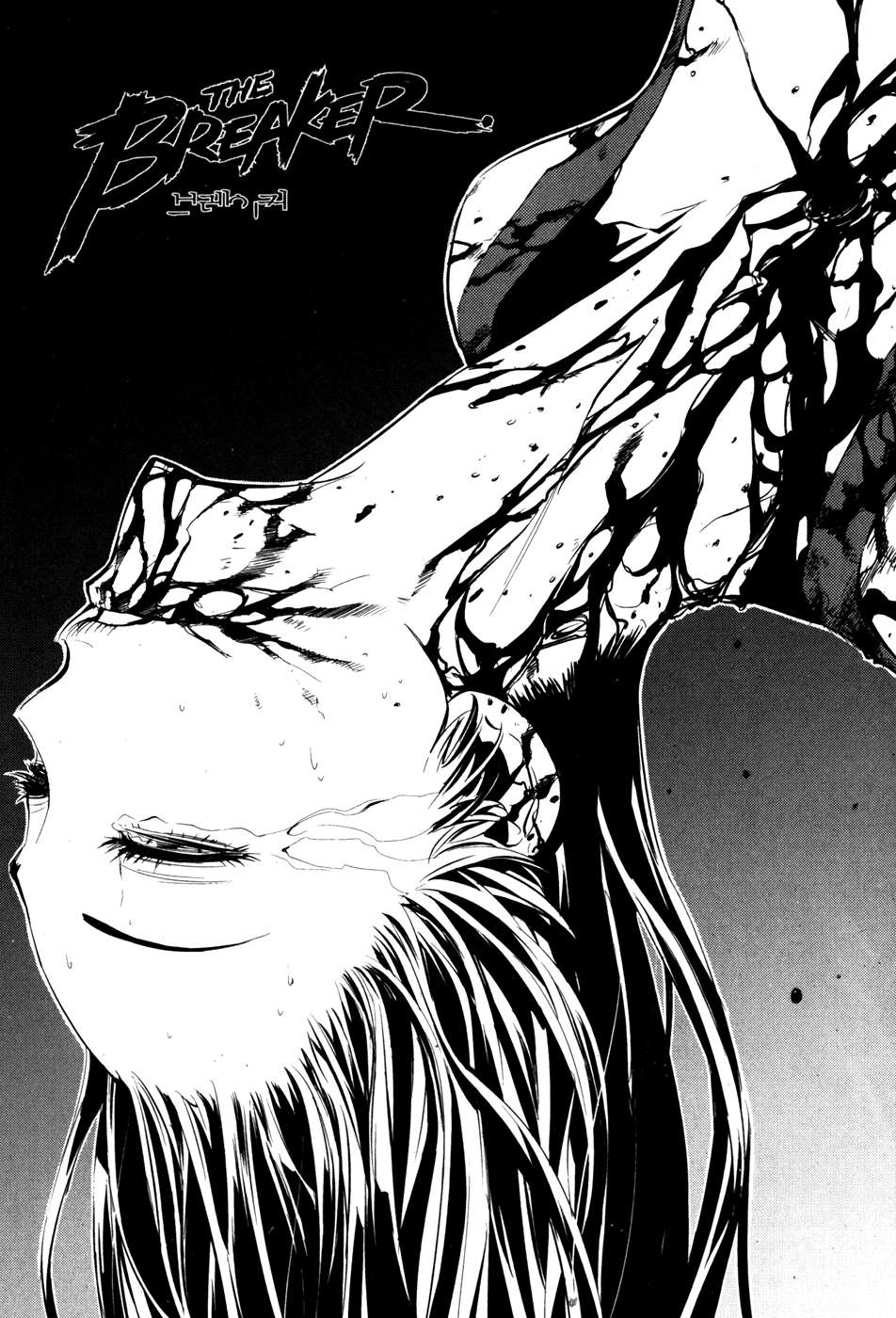 Read The Breaker Es Manga Online