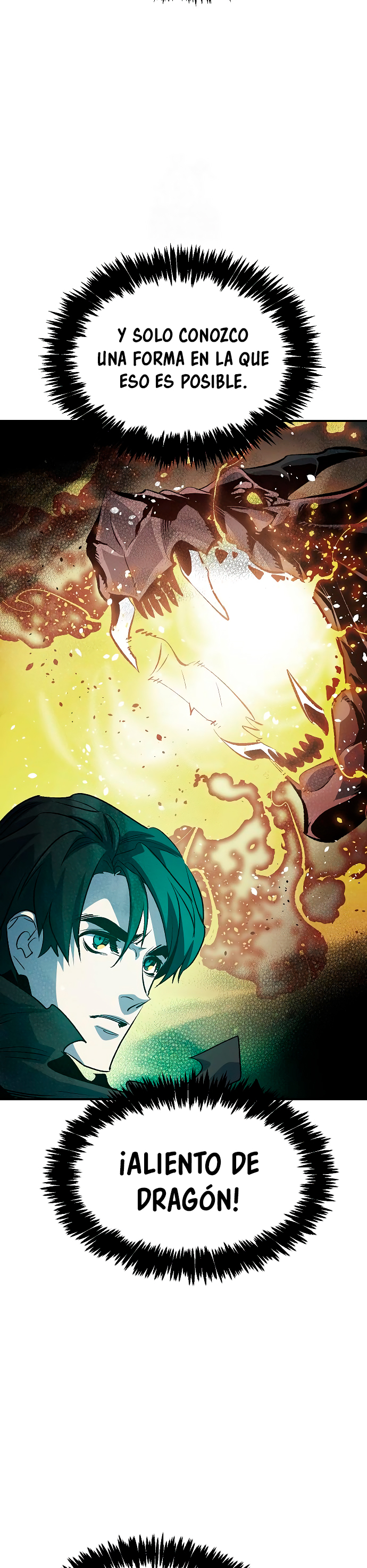 Read The Lone Necromancer Es Manga Online