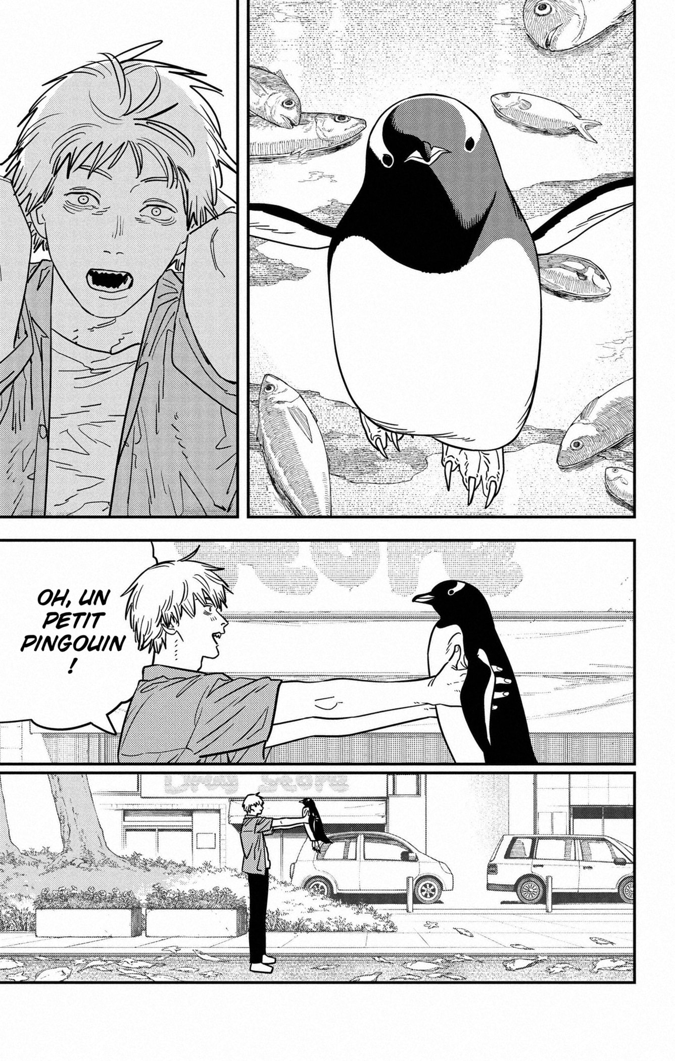 Read Chainsaw man Fr Manga Online