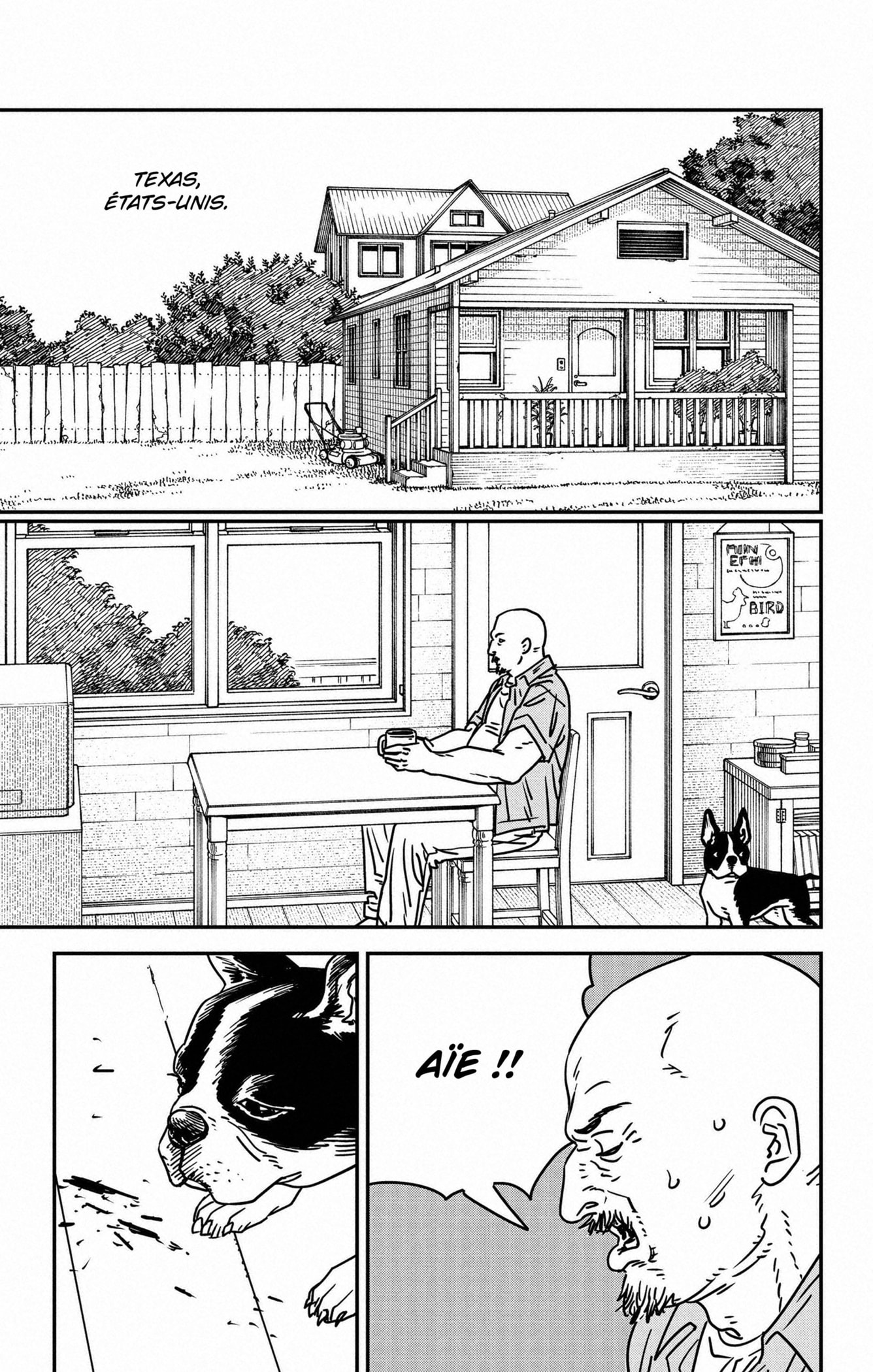 Read Chainsaw man Fr Manga Online