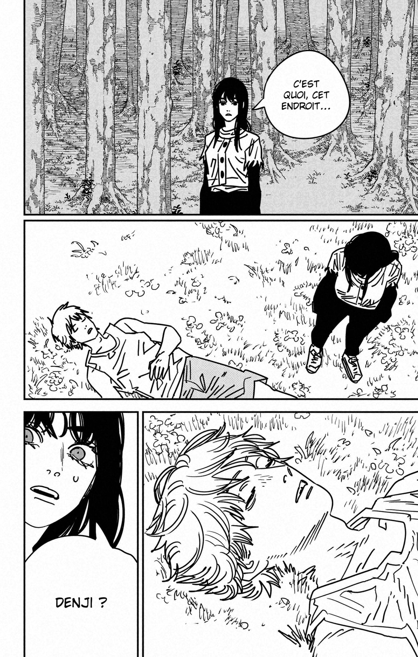 Read Chainsaw man Fr Manga Online