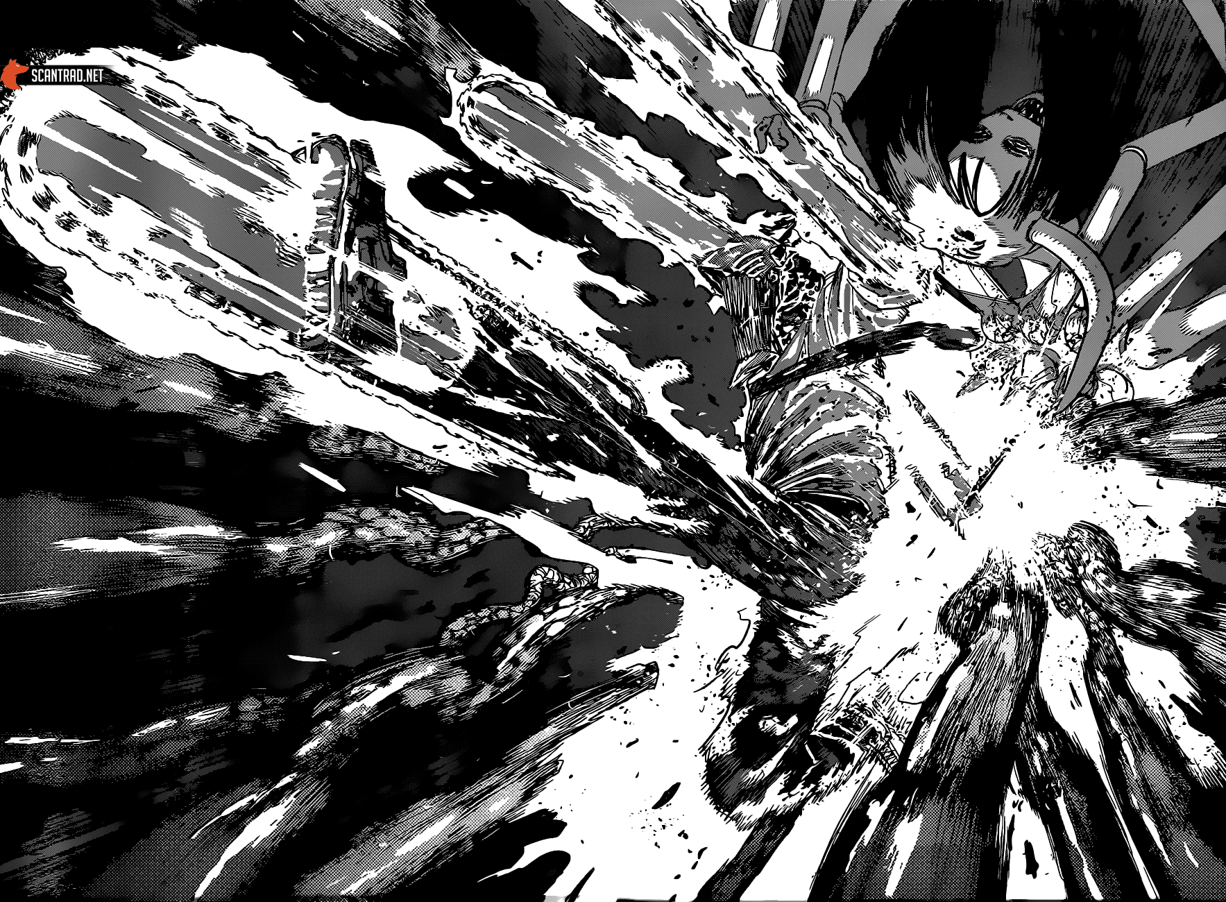 Read Chainsaw man Fr Manga Online